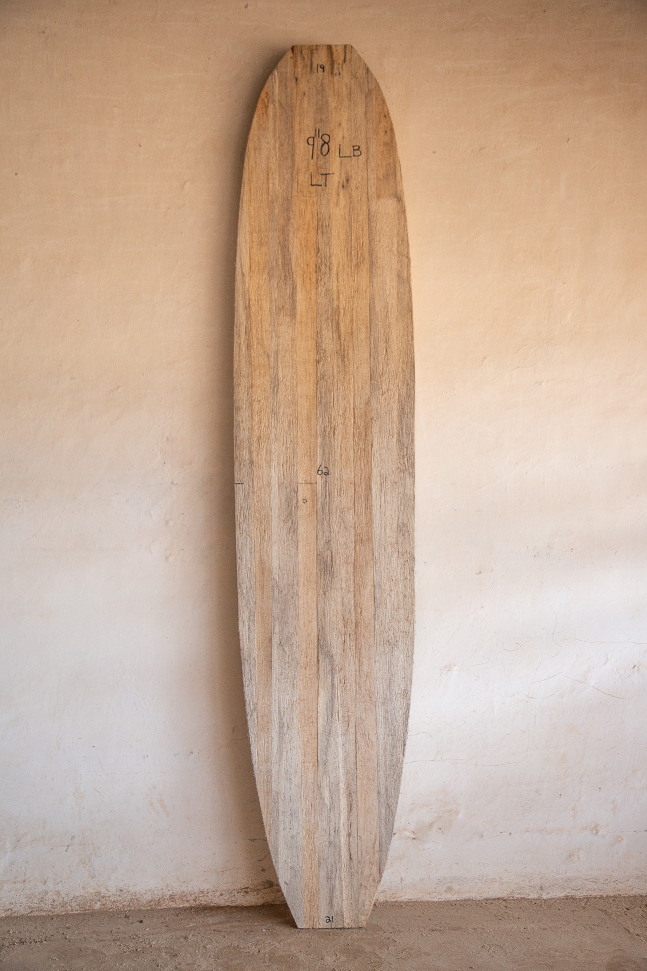 Agave Longboard Versatile 9'8 Blank