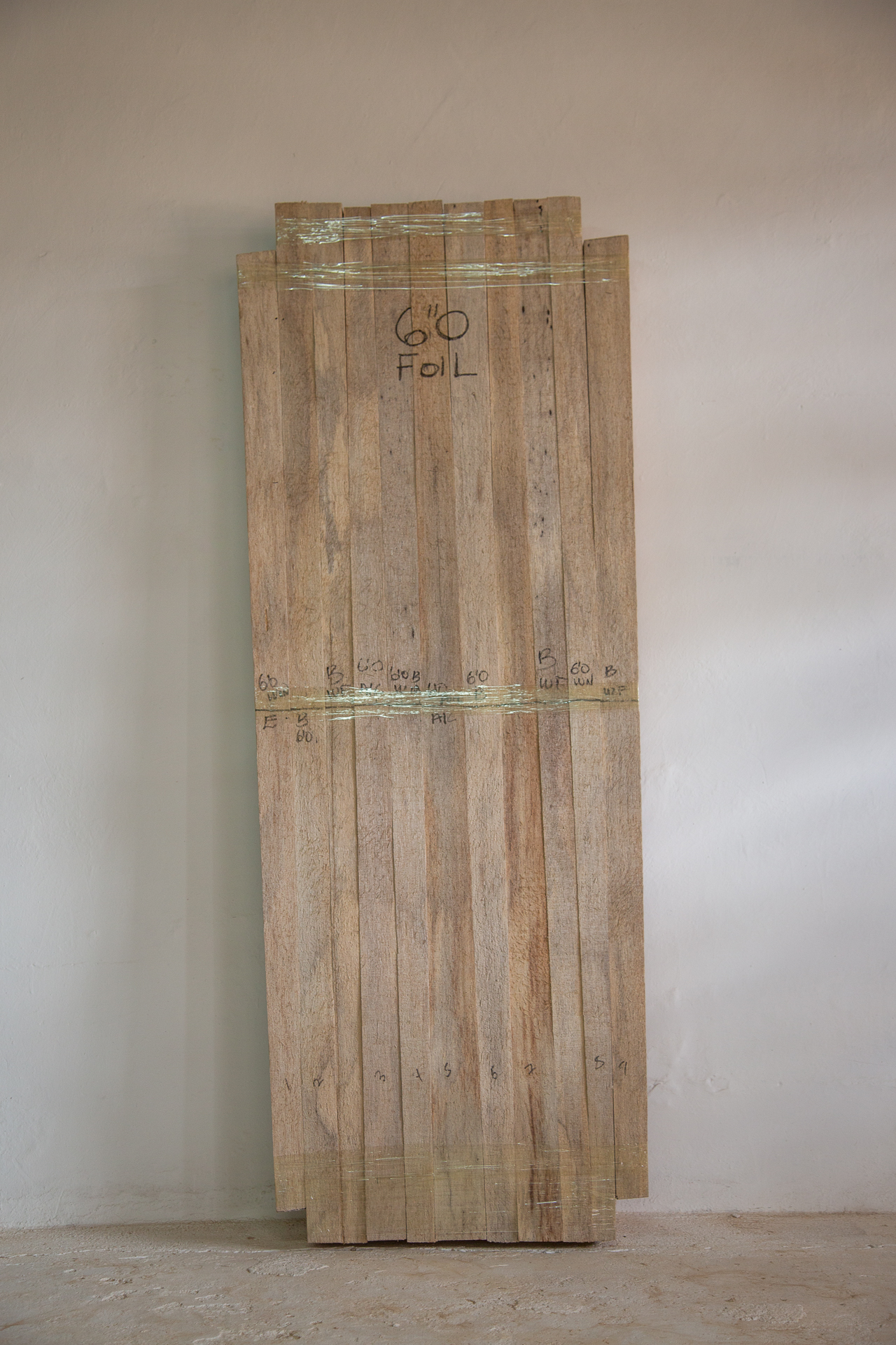 Agave Foil Wing 6'0 Blank