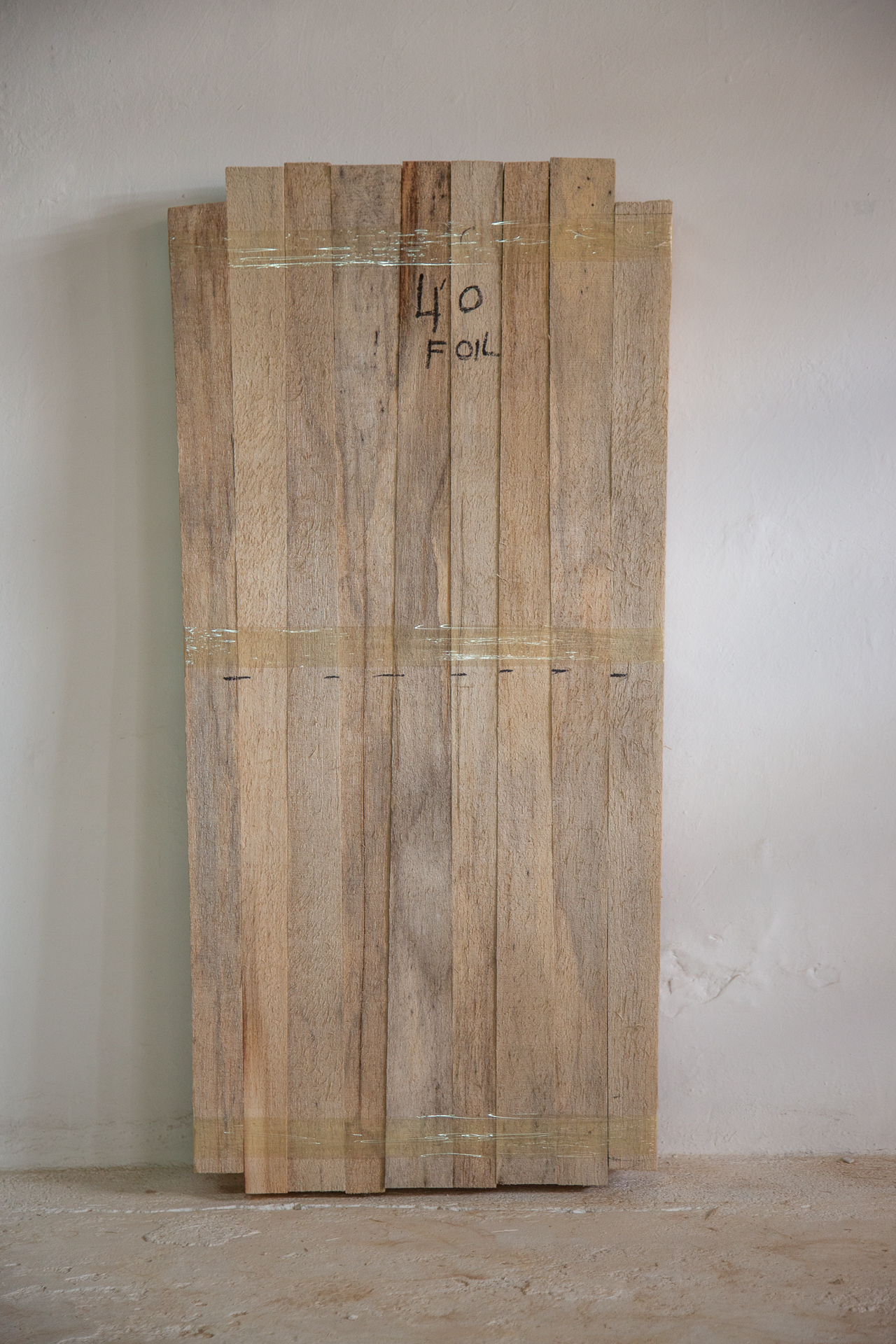 Agave Foil Kite/Pump 4'0 Blank